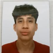 Estudiante de Bachillerato apto para dar clases en todo tipo de materias de la ESO